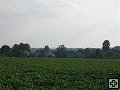 thn_Troubelice 2006 098.jpg